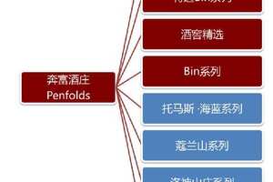 奔富红酒有几个系列，有8大系列其中奔富葛兰许还是澳洲酒王