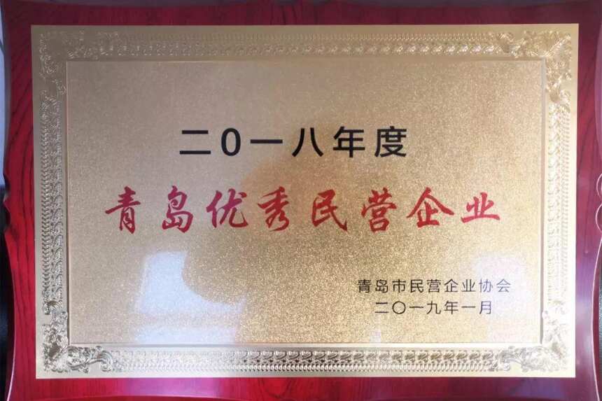 喜讯｜妙府荣膺2018青岛优秀民营企业「青岛市共评选十家企业」