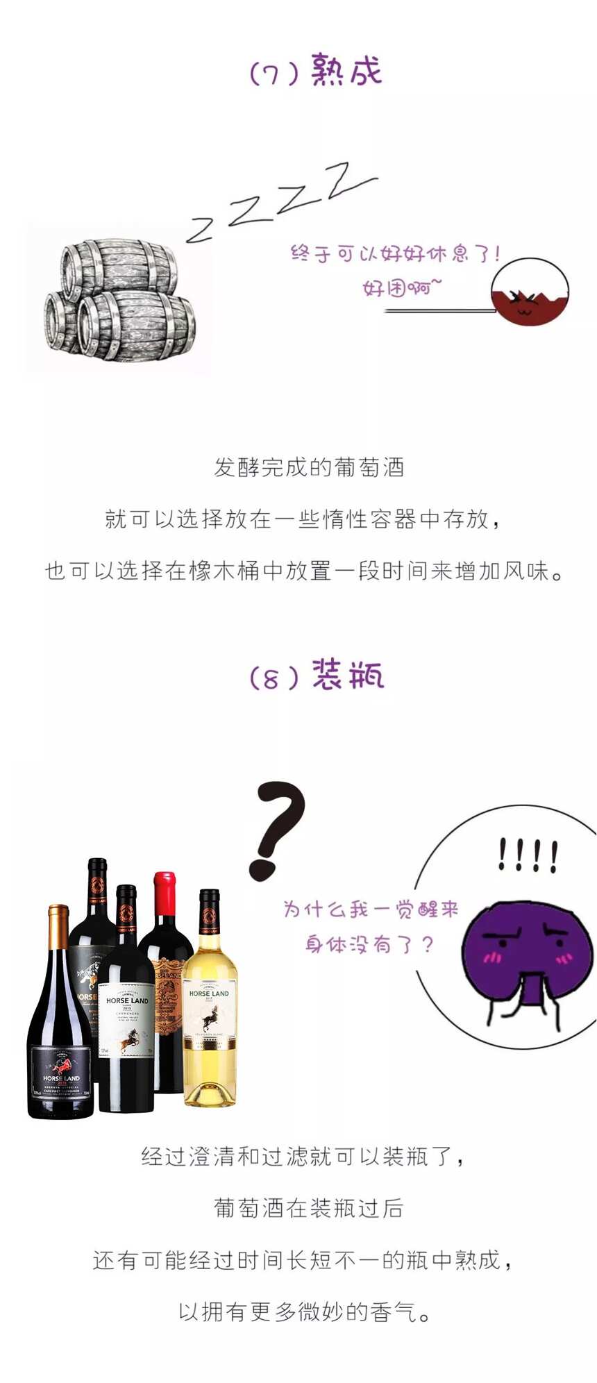 葡萄酒的酿造