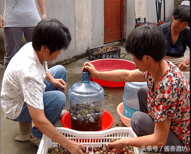 酿酒技术：葡萄酒的家庭简易做法